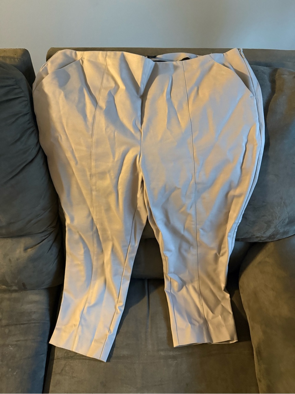 INC International Concepts Light Beige/Taupe Pants